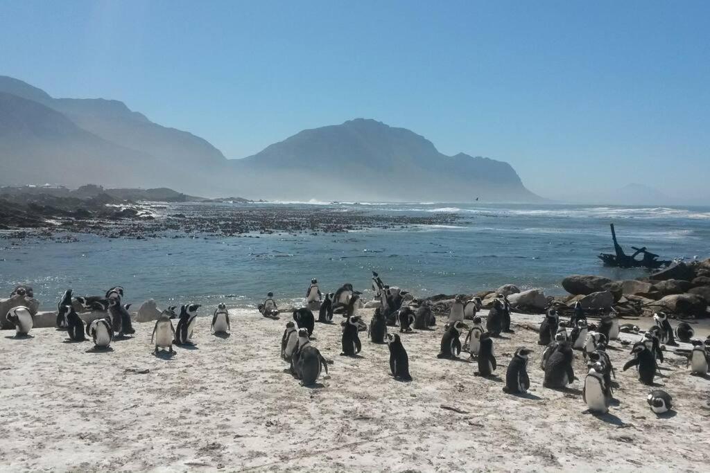 Bettyʼs Bay Heaven'S Doorヴィラ エクステリア 写真